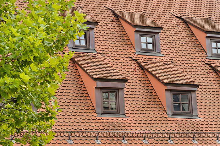 How to Spot Early Roof Damage and Avoid Expensive Repairs